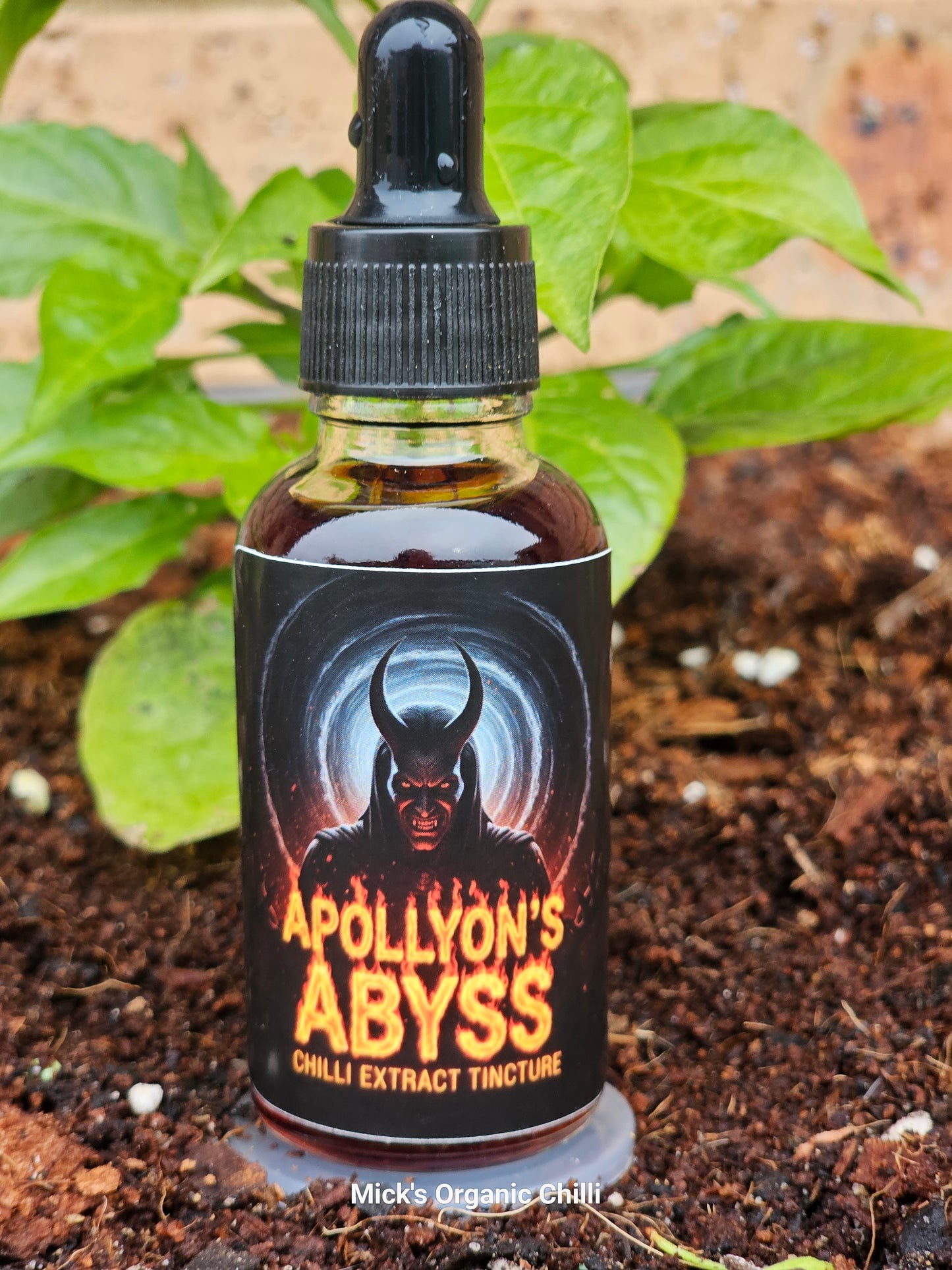 Chilli extract tincture drops triple pack