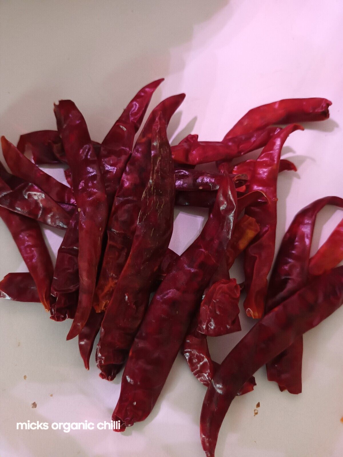 Chilli- De Arbol 10 Seeds