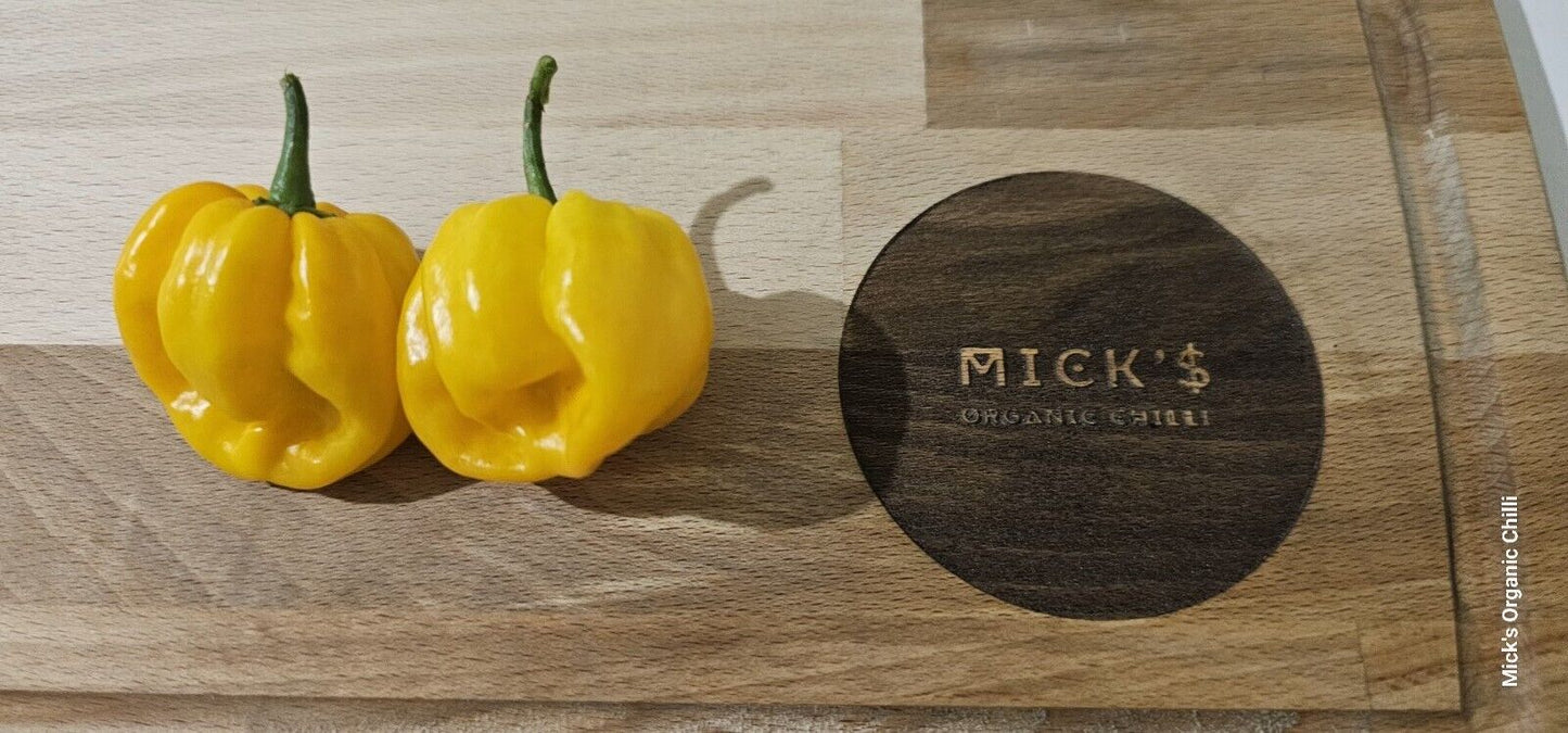 Chilli - Trinidad Scorpion 10 Seeds
