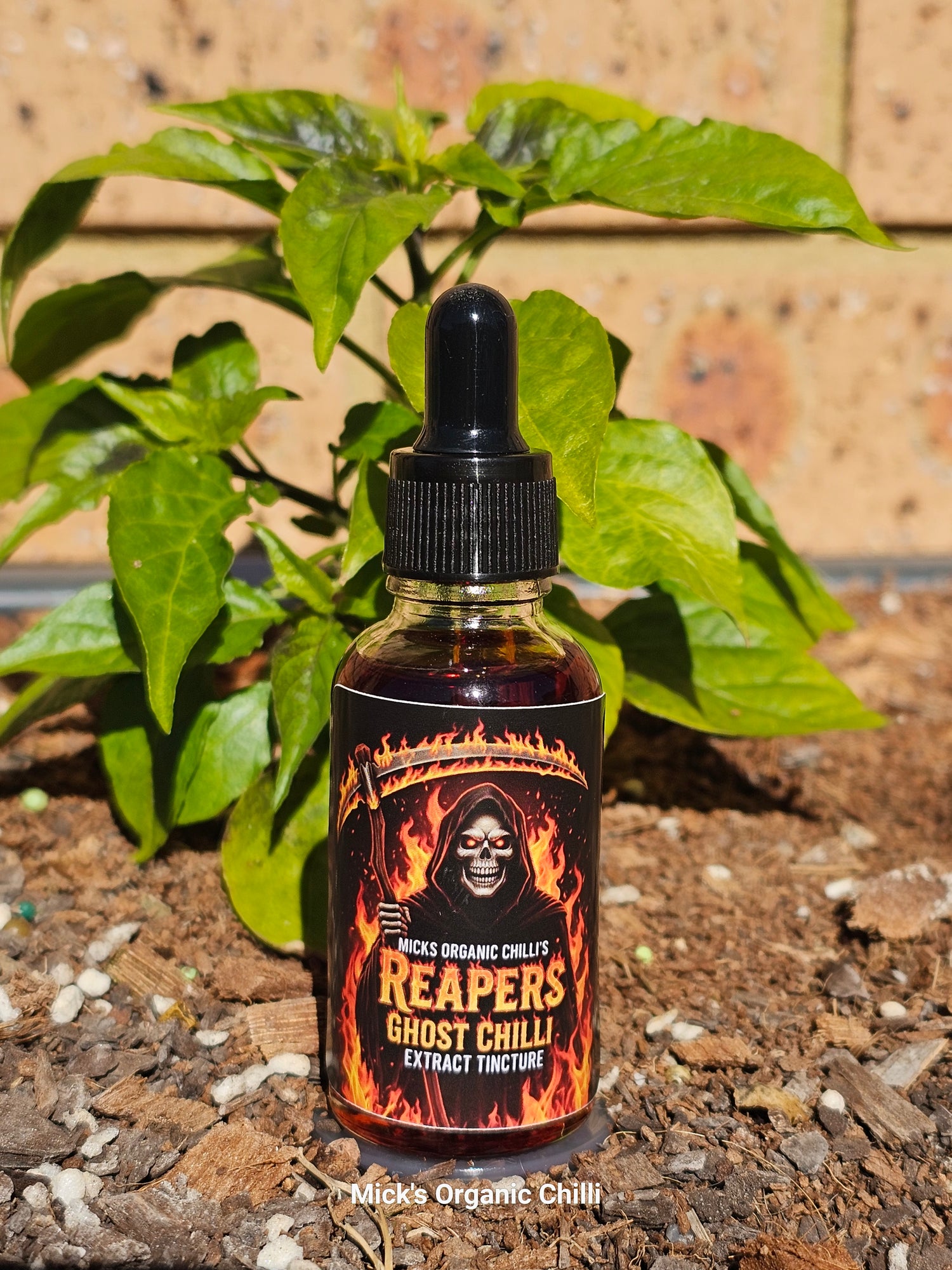 Chilli Extract Tincture Drops
