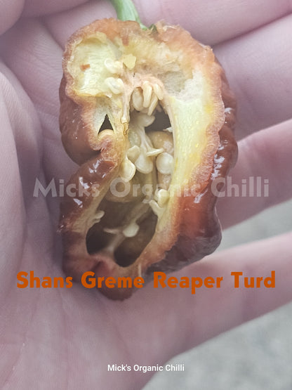 Shans Greme Reaper Turd 10 Seeds