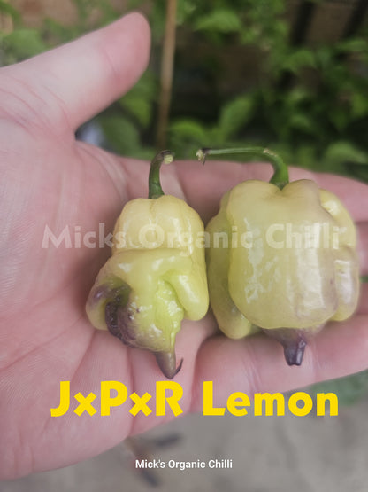 JxPxR Lemon 10 Seeds