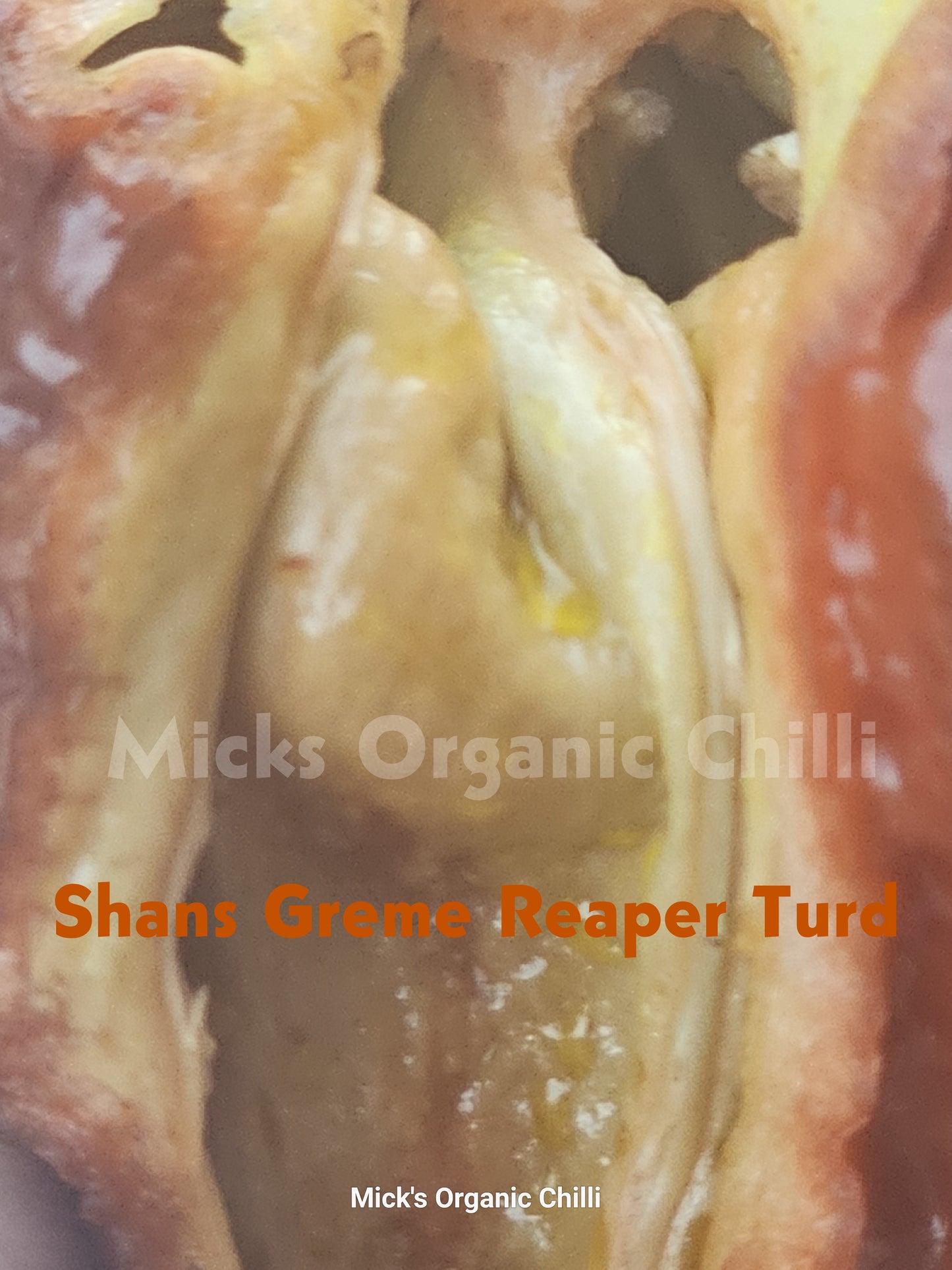 Shans Greme Reaper Turd 10 Seeds