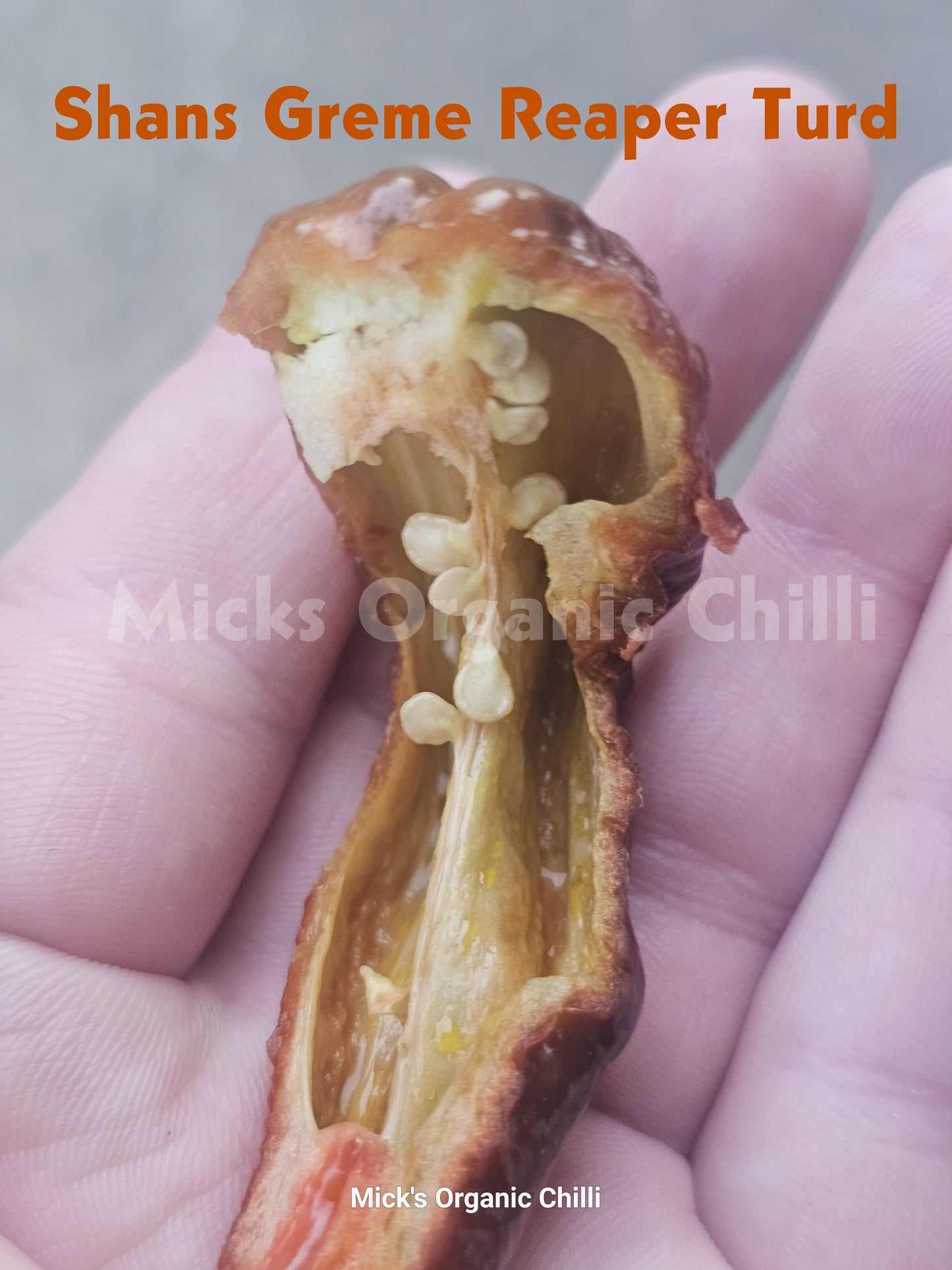 Shans Greme Reaper Turd 10 Seeds