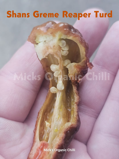 Shans Greme Reaper Turd 10 Seeds