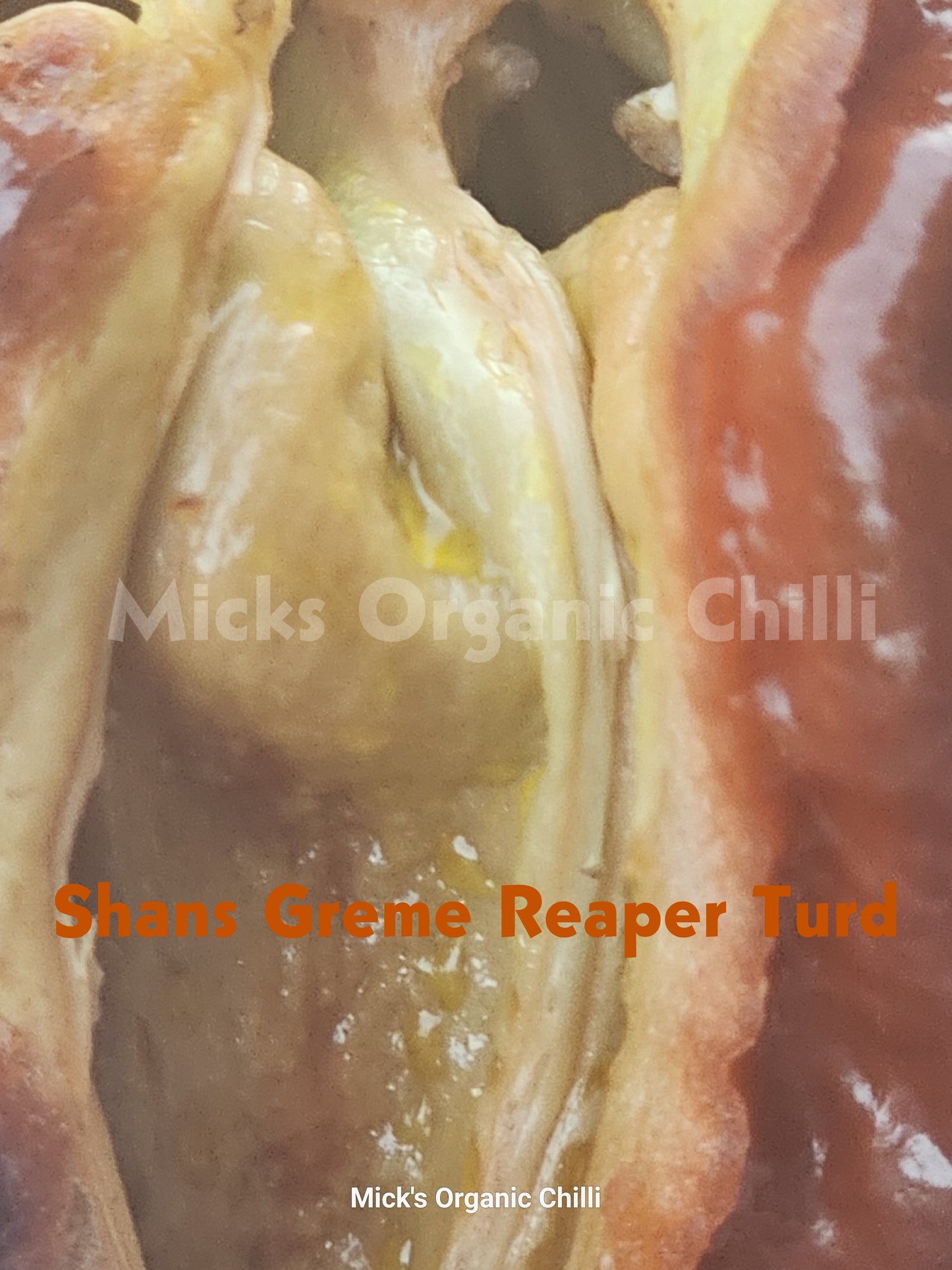 Shans Greme Reaper Turd 10 Seeds