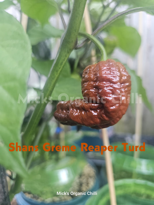 Shans Greme Reaper Turd 10 Seeds
