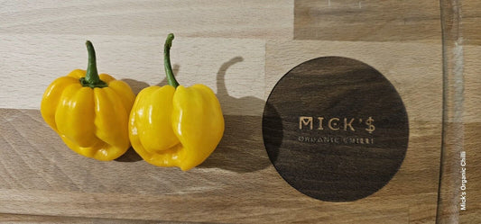 Chilli - Trinidad Scorpion 10 Seeds